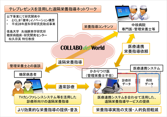 Iijグローバル 徳島大学の遠隔栄養指導の実証実験に参加し ビデオ会議サービス Collabo De World を提供 ニュース Iijグローバルソリューションズ